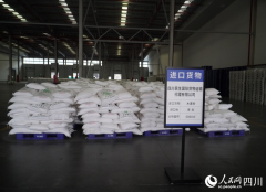 <b>玉米、小麦大多靠公大车分离运输</b>